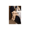 4-9-2.png Jollein - Wagenhanger bunny
